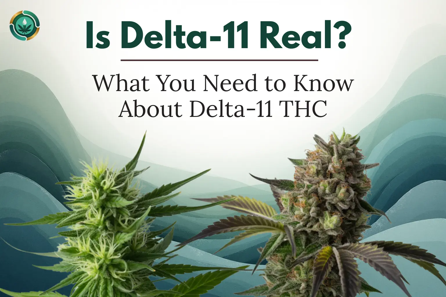 Is Delta-11 Real? What You Need to Know About Delta-11 THC