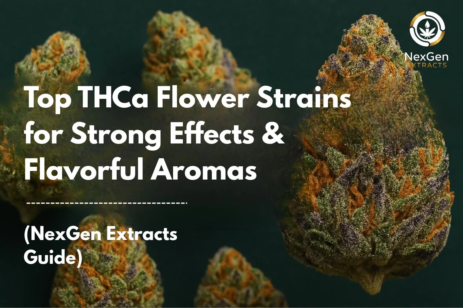 Top THCa Flower Strains for Strong Effects & Flavorful Aromas