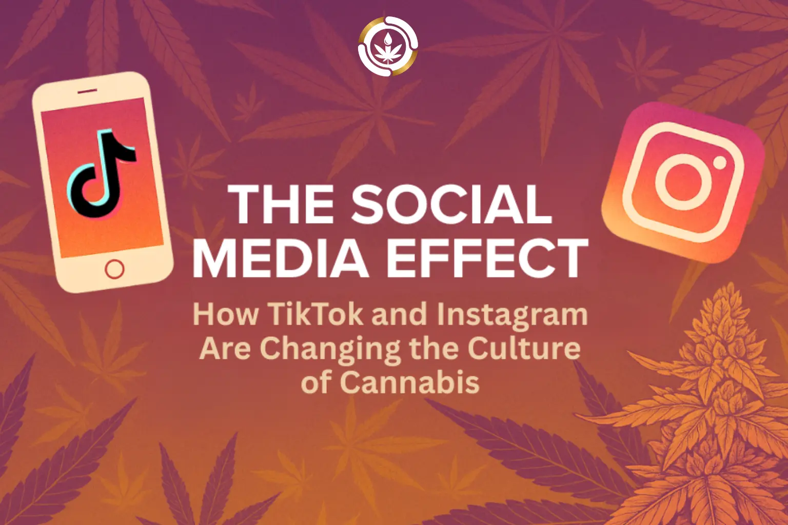 How TikTok & Instagram Are Changing Cannabis Culture | Delta-8