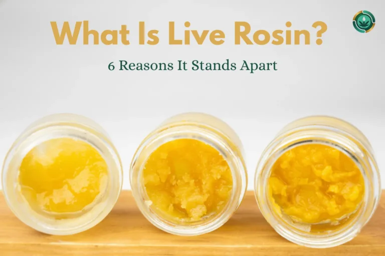 What Is Live Rosin? [6 Reasons It Stands Apart