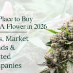 Laws, Market Trends & Trusted Companies