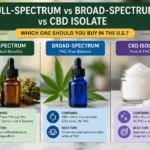 Infographic comparing full-spectrum, broad-spectrum, and CBD isolate with key differences, THC content, benefits, and best use cases for each CBD type.