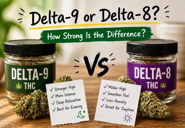 Side-by-side comparison of Delta-9 and Delta-8 THC jars on a table showing stronger vs milder effects, potency differences, and user experience notes