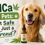 Cute dog and cat sitting beside a CBD/THCa oil bottle with hemp leaves, illustrating pet wellness and safety concerns about THCa products