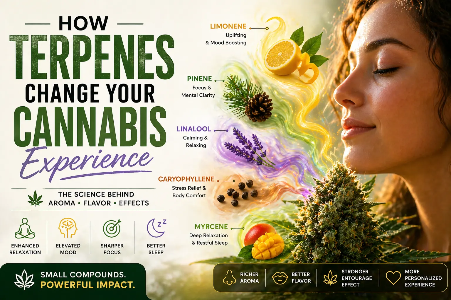 Woman smelling cannabis flower with colorful terpene visuals showing effects like relaxation, focus, and mood boost
