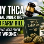 THCA legality under 2018 Farm Bill concept showing hemp buds, labeled THCA jar, judge gavel, and law book representing cannabis laws and regulations