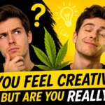 Split face showing confused vs relaxed man with cannabis leaf, questioning if cannabis really boosts creativity