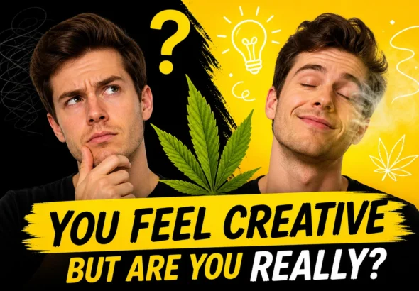 Split face showing confused vs relaxed man with cannabis leaf, questioning if cannabis really boosts creativity