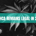 THCA legality in 2026 explained with hemp flower, federal law documents, and THC comparison infographic.