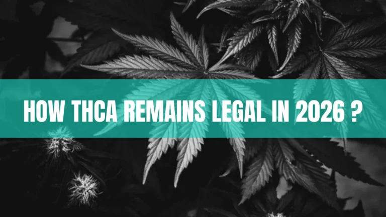 THCA legality in 2026 explained with hemp flower, federal law documents, and THC comparison infographic.