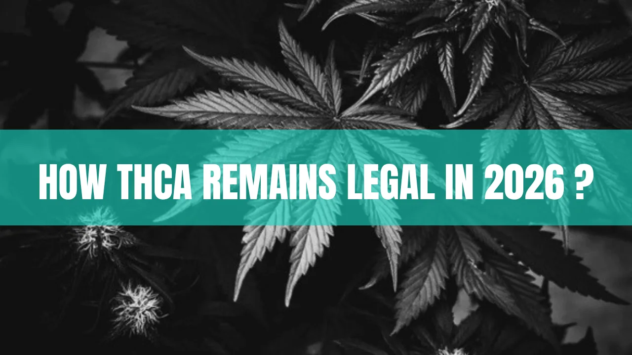 THCA legality in 2026 explained with hemp flower, federal law documents, and THC comparison infographic.