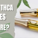 Expired THC vape cartridge showing darkened cannabis oil and signs of aging