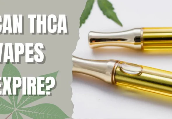 Expired THC vape cartridge showing darkened cannabis oil and signs of aging