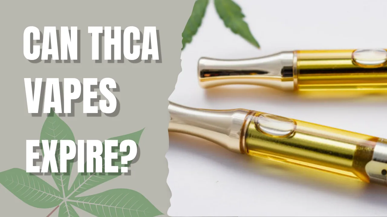 Expired THC vape cartridge showing darkened cannabis oil and signs of aging