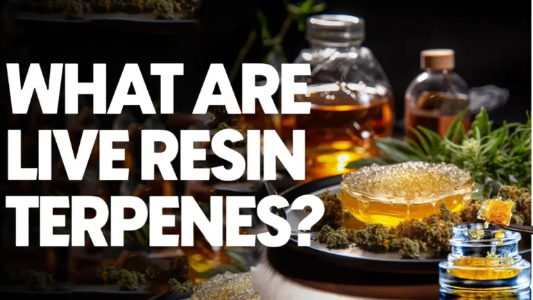 Fresh cannabis live resin concentrate with terpene-rich golden extract beside cannabis buds and vape cartridge on dark background
