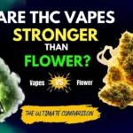 THC vape pen with glowing green smoke beside cannabis flower for a THC vapes vs flower comparison blog featured image