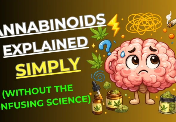 Illustration showing different cannabinoids like THC, CBD, THCA, Delta-8, and CBN explained in a simple beginner-friendly cannabis guide.