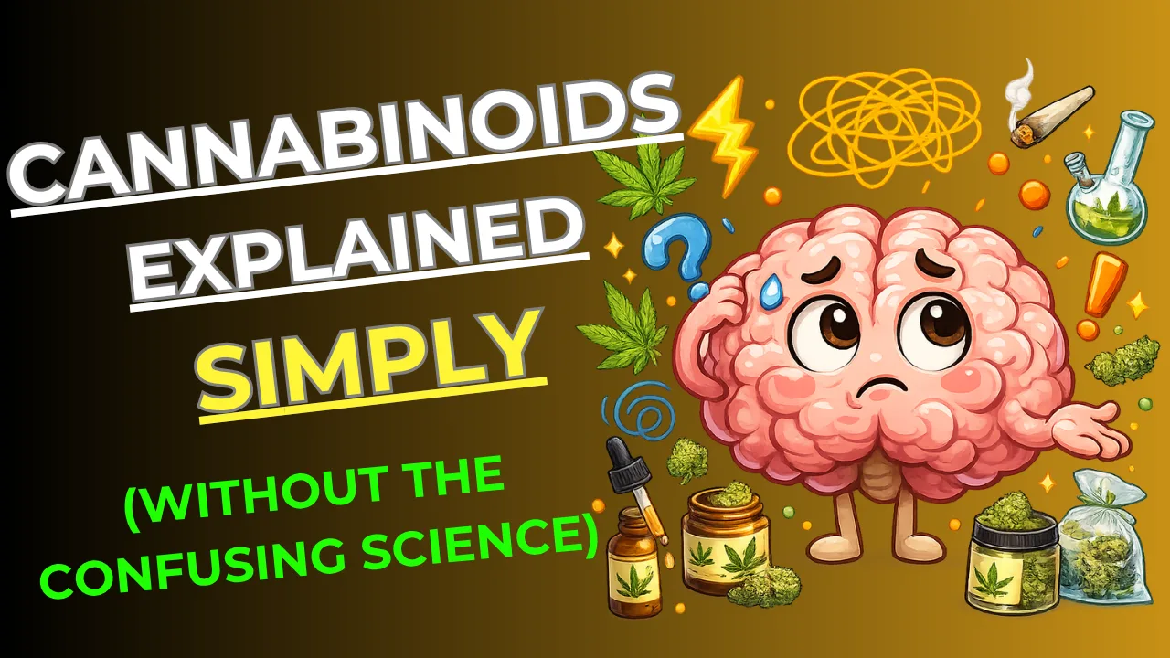 Illustration showing different cannabinoids like THC, CBD, THCA, Delta-8, and CBN explained in a simple beginner-friendly cannabis guide.