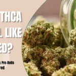 Premium THCA flower buds showing trichomes and strong cannabis aroma.