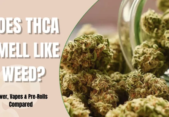 Premium THCA flower buds showing trichomes and strong cannabis aroma.