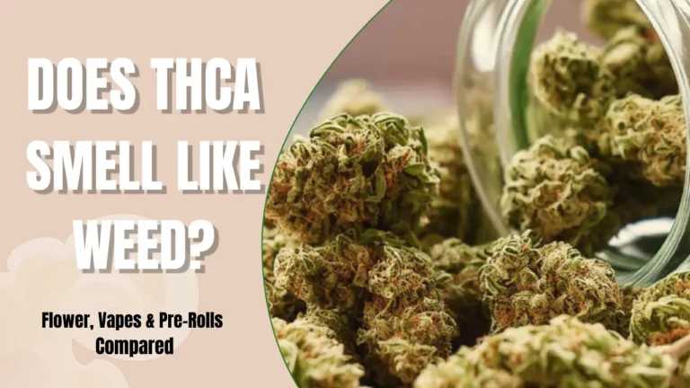 Premium THCA flower buds showing trichomes and strong cannabis aroma.