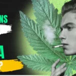 Person smoking THCA flower with smoke effects showing daily cannabis use and THC impact on brain and body