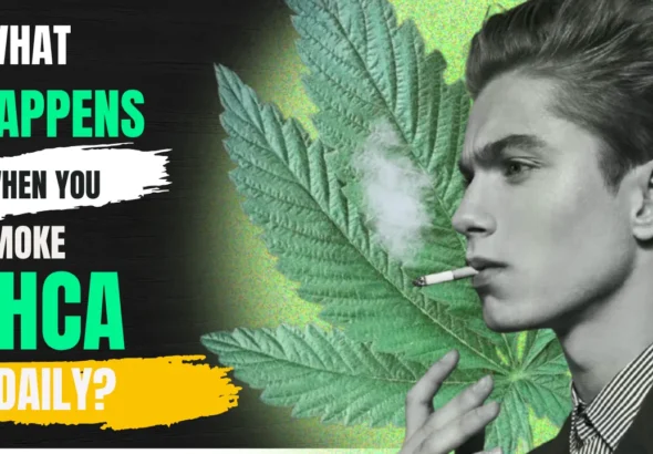 Person smoking THCA flower with smoke effects showing daily cannabis use and THC impact on brain and body
