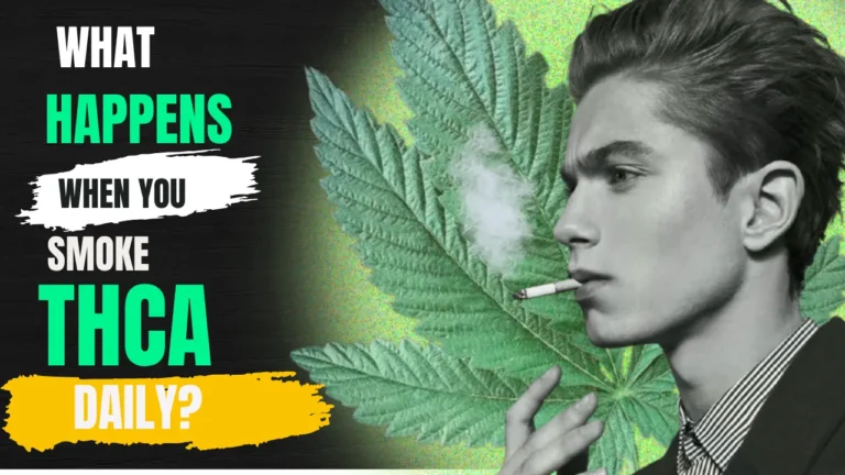 Person smoking THCA flower with smoke effects showing daily cannabis use and THC impact on brain and body