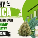 Premium THCA flower jars and buds representing the rise of THCA in the hemp industry in 2026