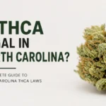 thc in north carolina