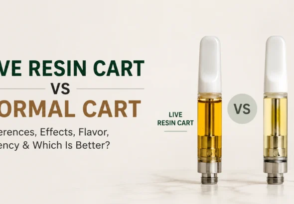 Live resin vs normal vape cart