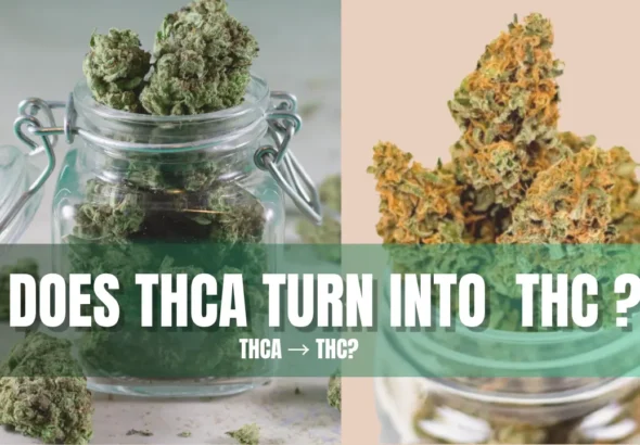Does THCA turn into THC through decarboxylation process when cannabis flower is heated