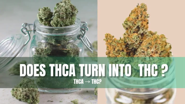 Does THCA turn into THC through decarboxylation process when cannabis flower is heated