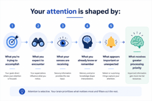 attaention shape