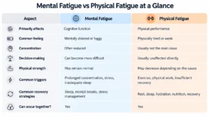Mental vs Physical Fatigue Comparison