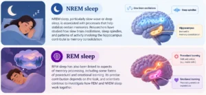 NREM and REM Sleep Explained
